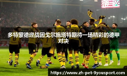 多特蒙德迎战因戈尔施塔特期待一场精彩的德甲对决
