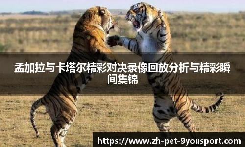 孟加拉与卡塔尔精彩对决录像回放分析与精彩瞬间集锦