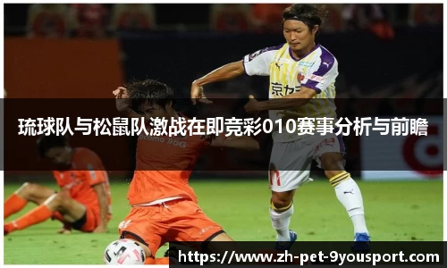 琉球队与松鼠队激战在即竞彩010赛事分析与前瞻