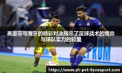 燕豪芬与海牙的精彩对决揭示了足球战术的博弈与球队实力的较量