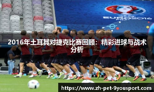 2016年土耳其对捷克比赛回顾：精彩进球与战术分析