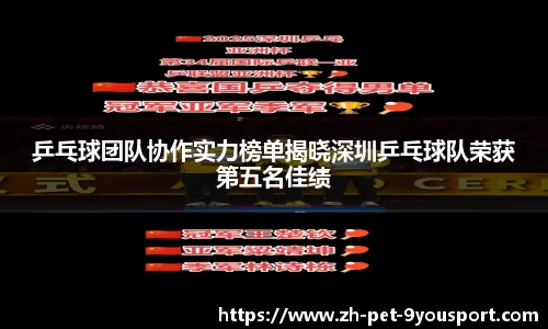 乒乓球团队协作实力榜单揭晓深圳乒乓球队荣获第五名佳绩