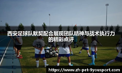 西安足球队默契配合展现团队精神与战术执行力的精彩点评