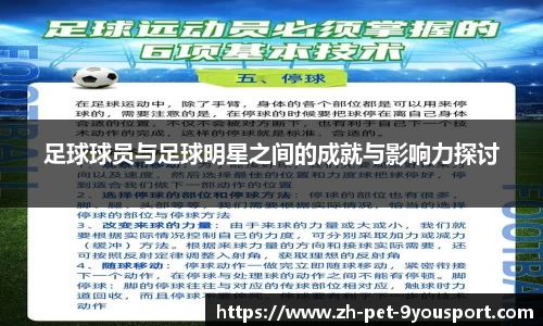 足球球员与足球明星之间的成就与影响力探讨